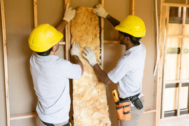 Best Local Insulation Services  in Salem, UT