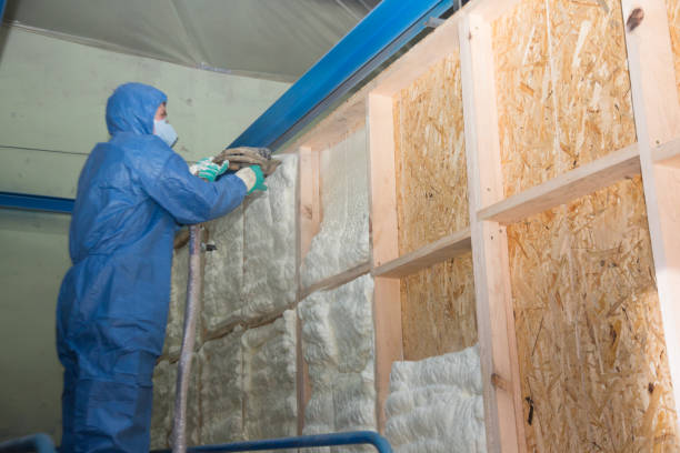 Best Affordable Insulation Services  in Salem, UT