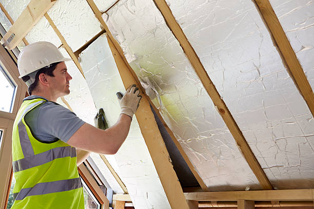 Best Insulation Replacement Services  in Salem, UT