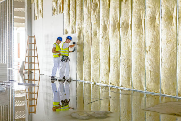 Best Garage Insulation Installation  in Salem, UT